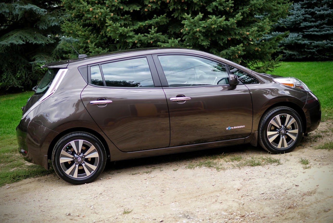 2016-leaf